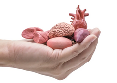 Future Damage to Body Organs